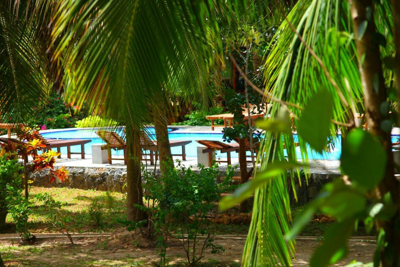 טנגלה Green Garden Cabanas מראה חיצוני תמונה