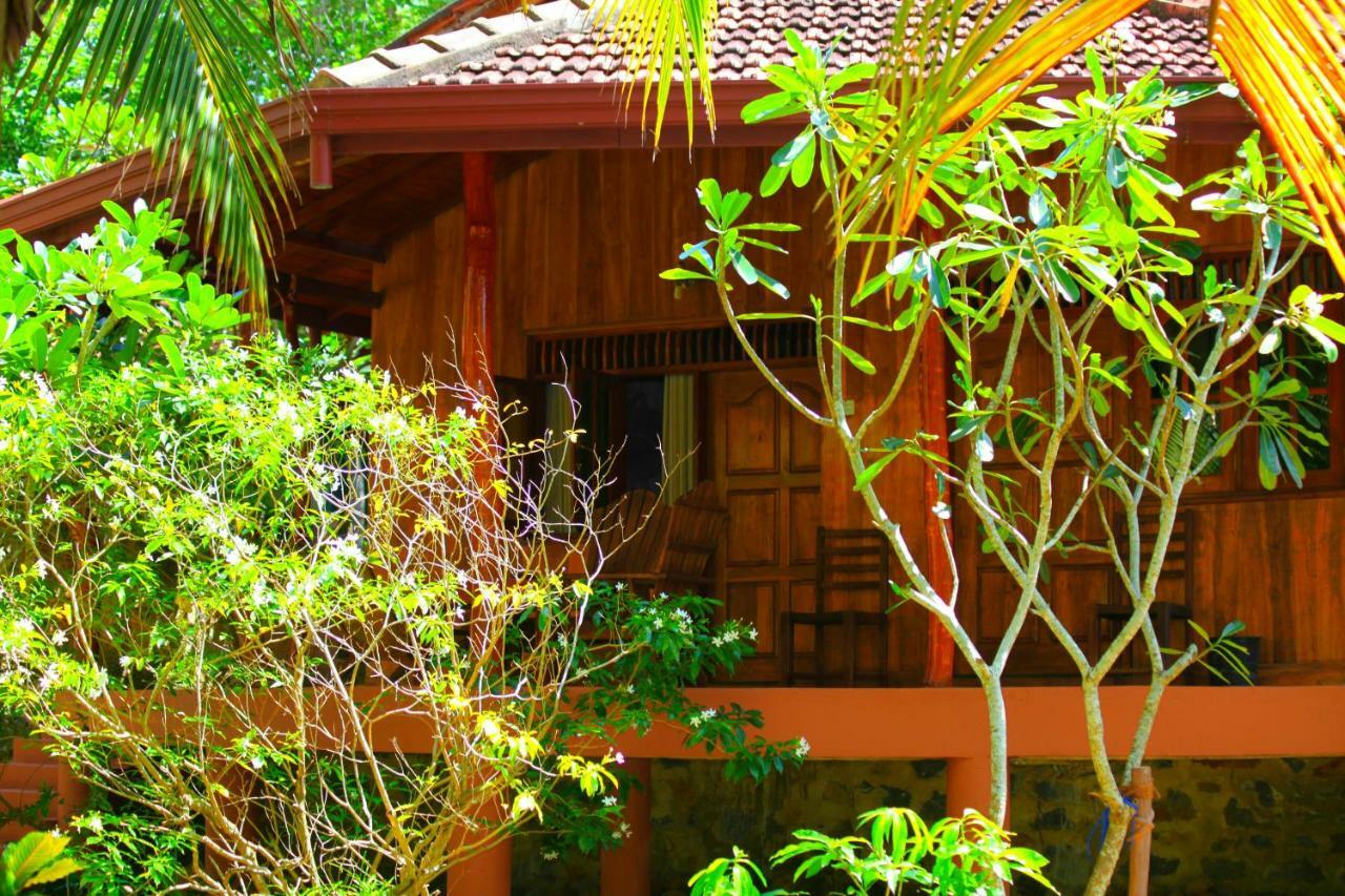 טנגלה Green Garden Cabanas מראה חיצוני תמונה