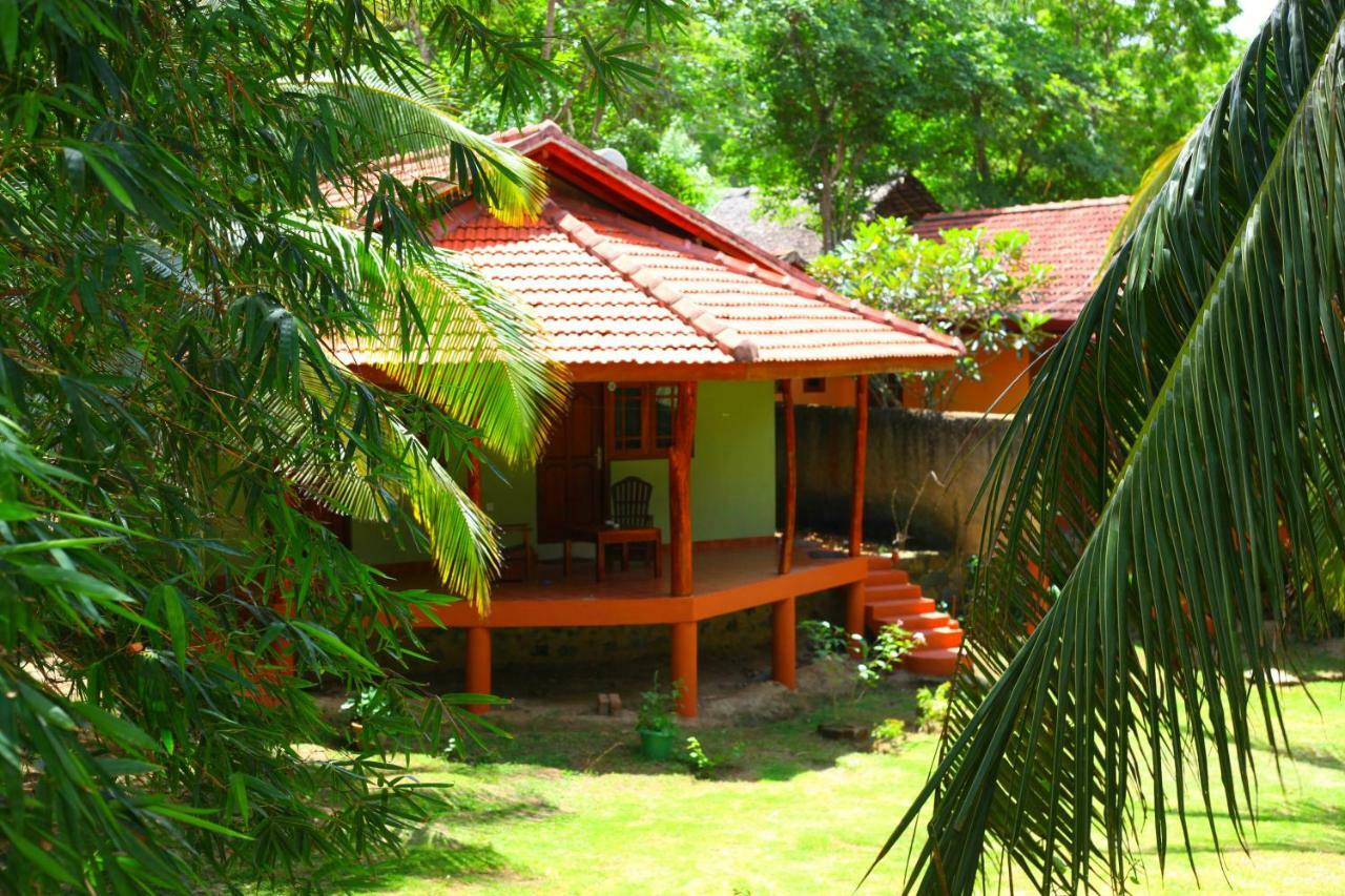 טנגלה Green Garden Cabanas מראה חיצוני תמונה