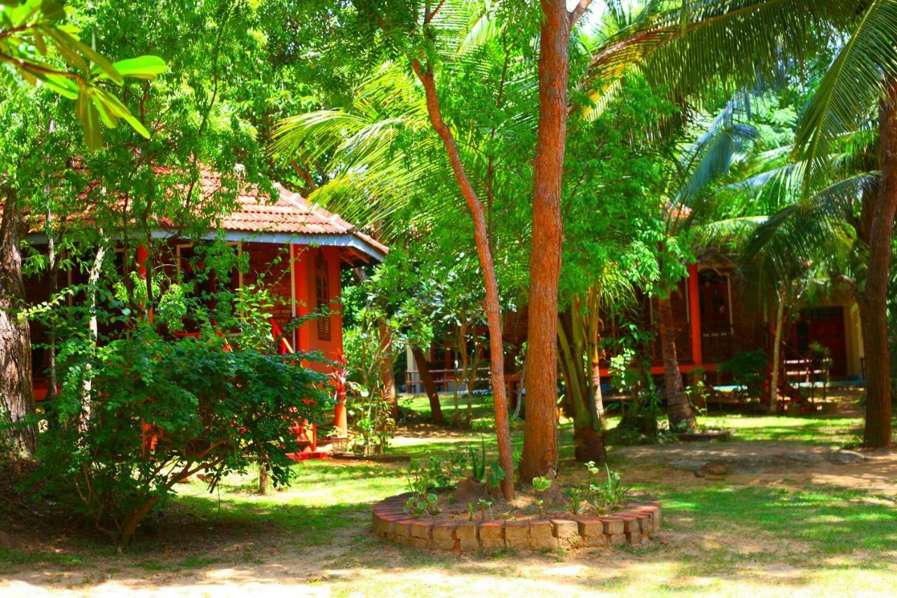 טנגלה Green Garden Cabanas מראה חיצוני תמונה