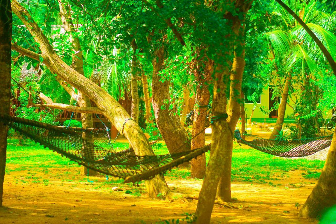 טנגלה Green Garden Cabanas מראה חיצוני תמונה