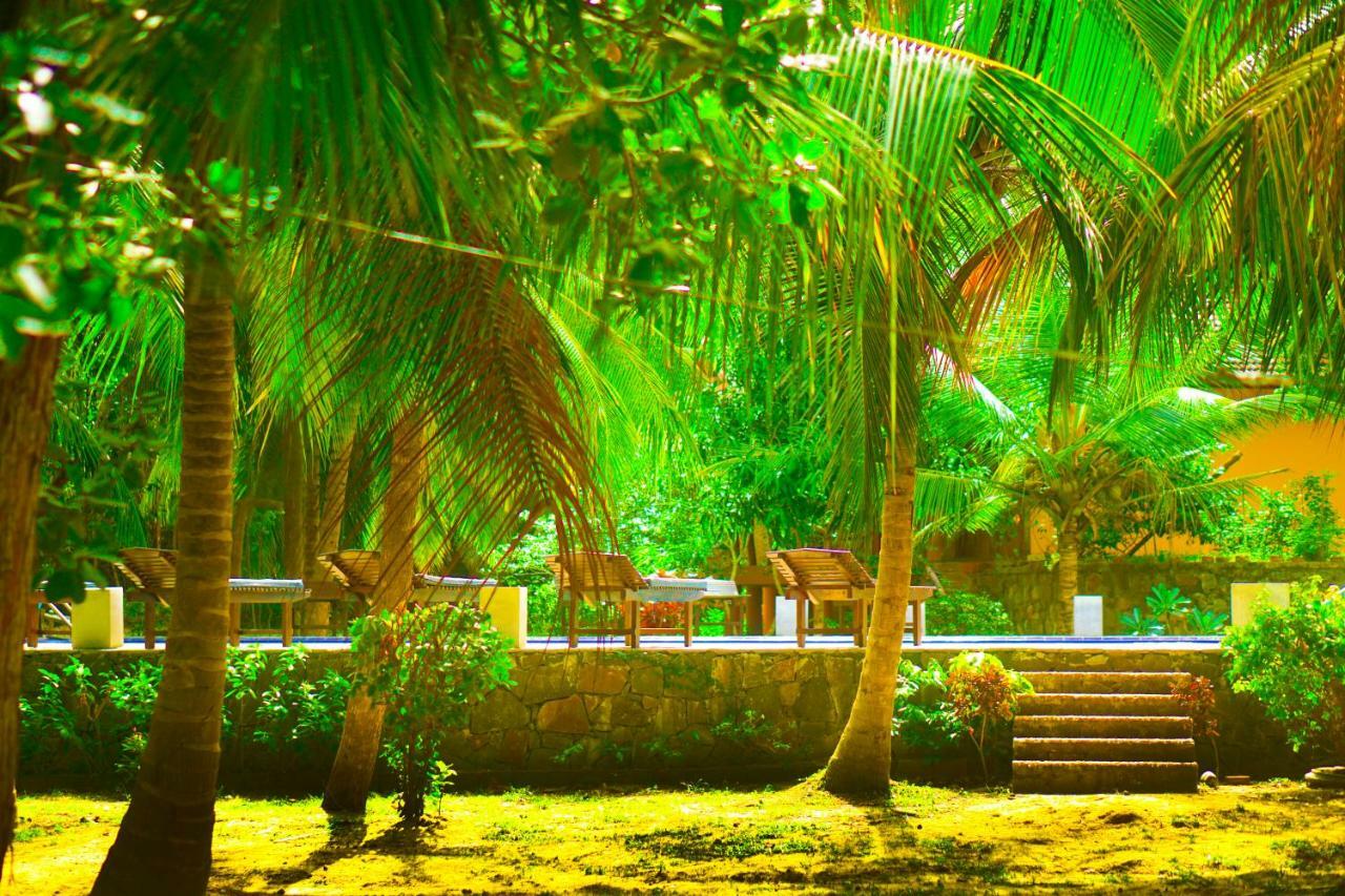 טנגלה Green Garden Cabanas מראה חיצוני תמונה